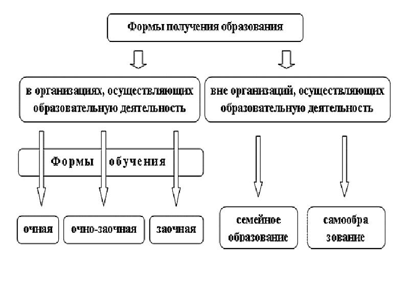 Самой распространенной формой получения образования было. Самой распространенной формой получения образования было