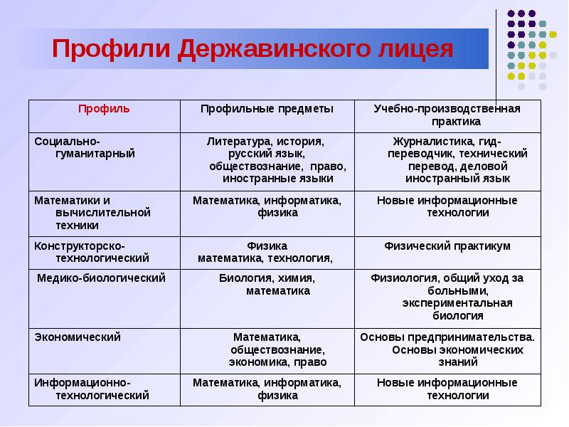 Социально технический профиль. Профили в лицее. Профили и предметы. Профильные классы. Профили Державинского лицея.