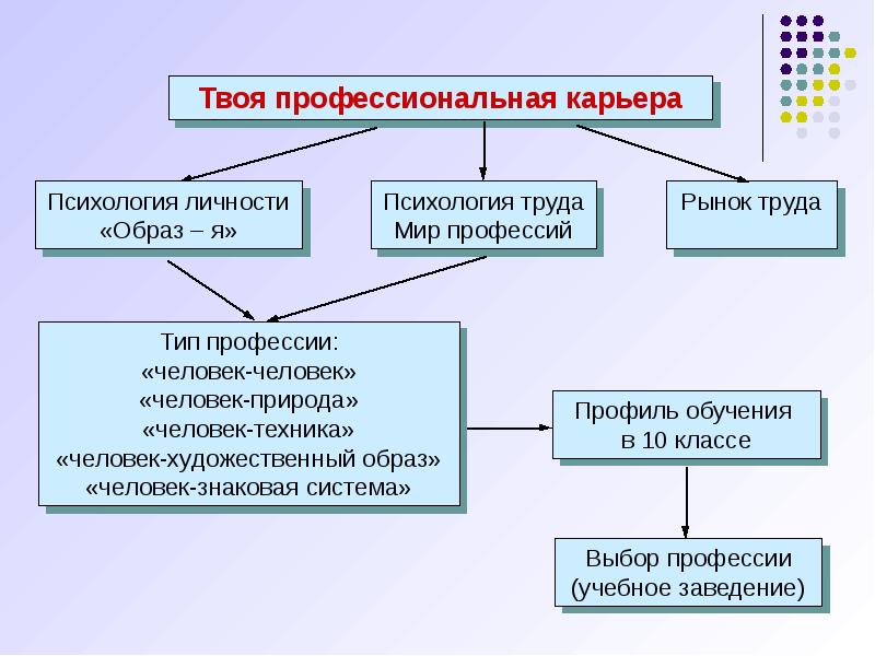 Твоя профессиональная карьера. Профессиональная карьера это в психологии. Психолого-педагогический профиль 10 класс профильные предметы. Базовые регуляторы системы обеспечивающие адаптацию.