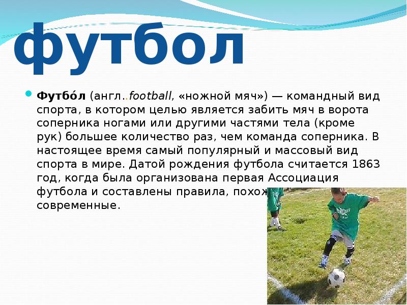 Проект мой любимый вид спорта 1 класс