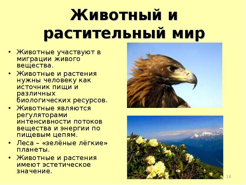 Презентация сохраним богатство живого мира 5 класс фгос пономарева