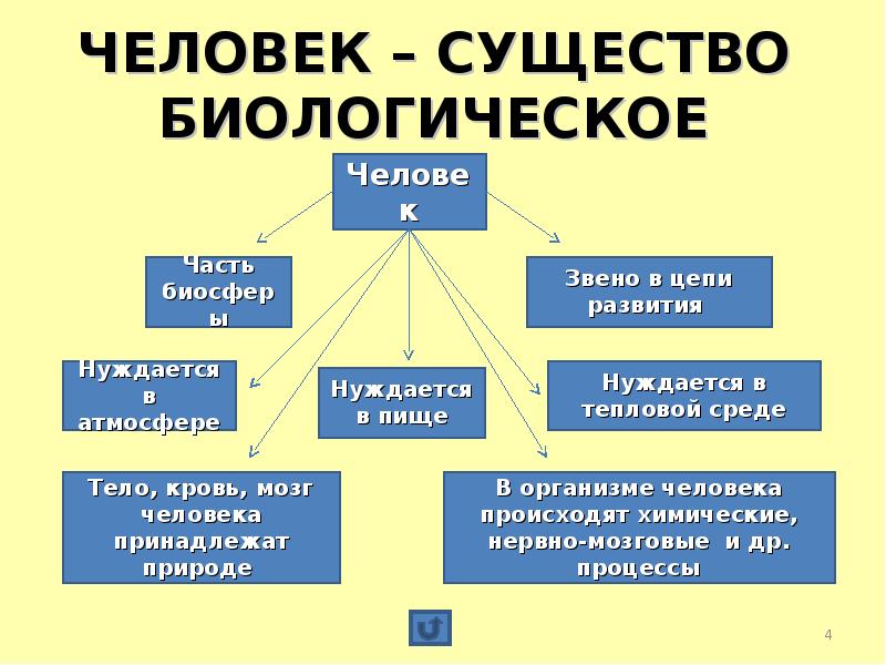 Человек как биологический вид