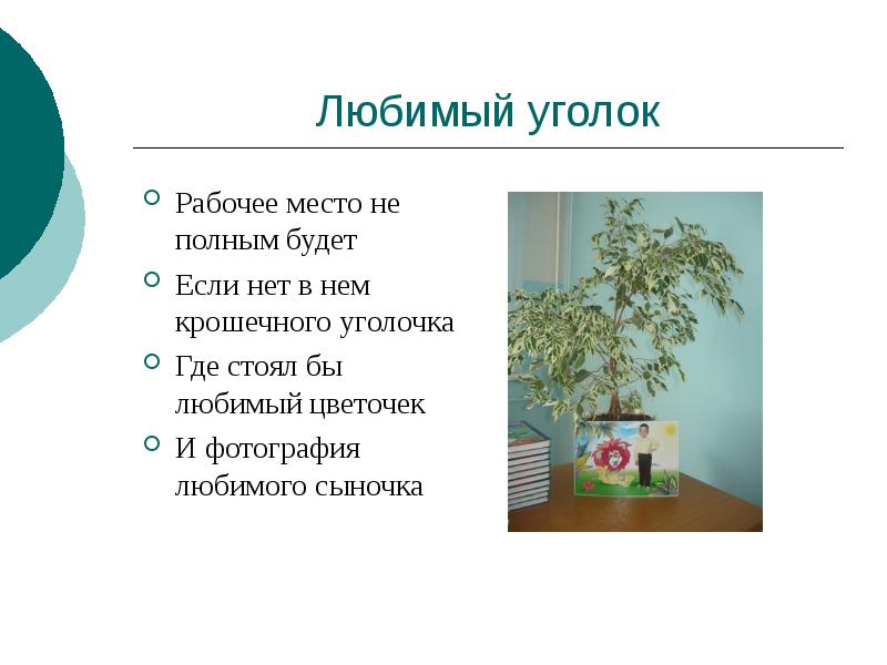 6 класс сочинение мой любимый уголок природы. Описание любимого уголка природы. Мой любимый уголок природы сочинение 5 класс.