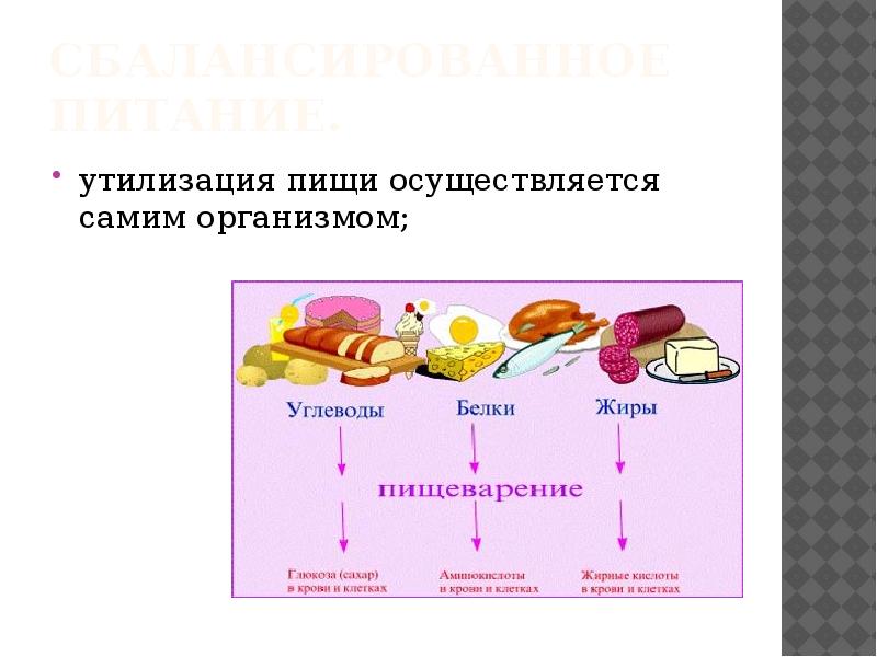 Питание осуществляется. Переработка пищи в организме. Утилизация пищи осуществляется. Схема переработки пищи у человека. Утилизация пищи осуществляется организмом.