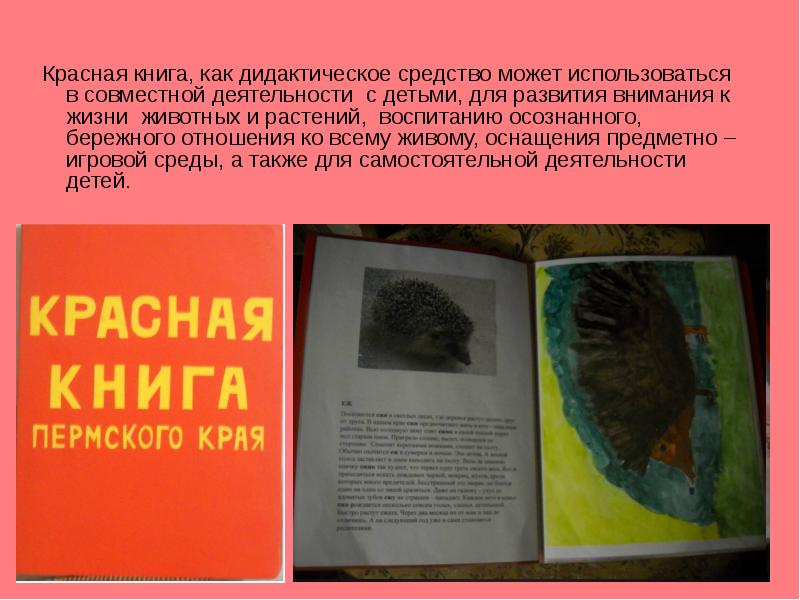 Фото Красной Книги Пермского Края