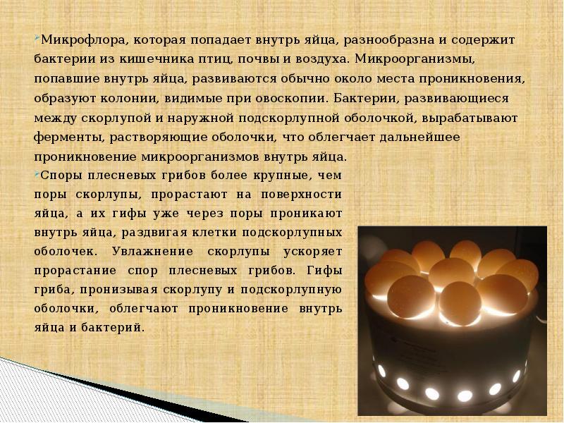 Какую роль выполняет скорлупа. Полезные свойства яиц. Яйцо мозаика. Какую роль выполняет скорлупа. Какую роль выполняет скорлупа.