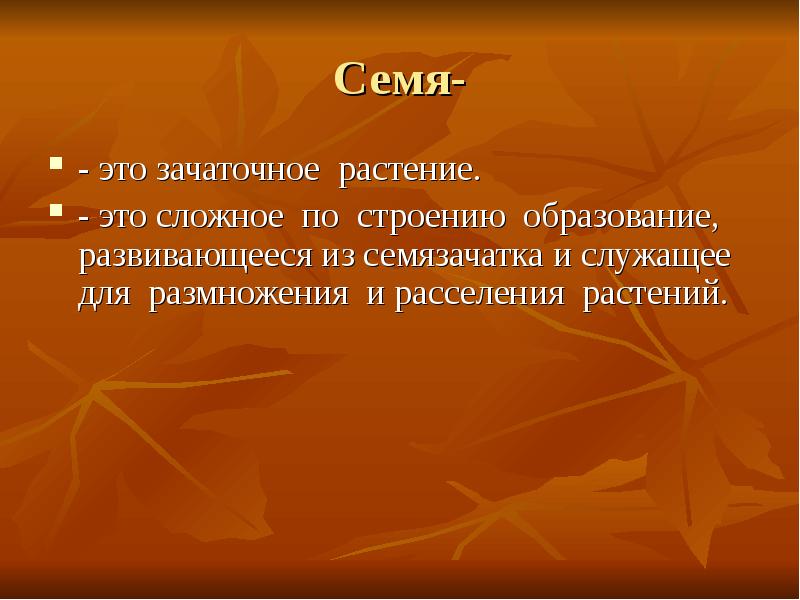 Почему семена называют зачаточными. Семя. Докажите что семя - зачаточное растение. Почему семя называют зачаточным растением. Семенить.