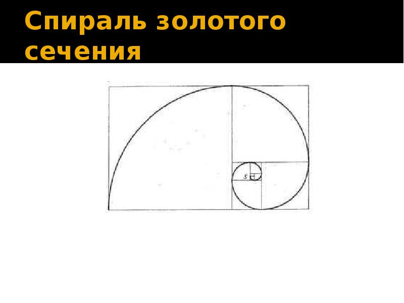 Золотое сечение презентация 10 класс