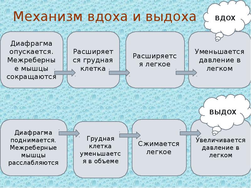 Какое дыхание соответствует схеме вдох остановка выдох