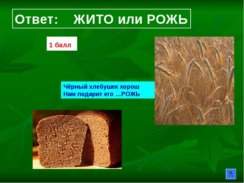 Объяснение слов жито. Жито. Что такое слово жито. Что такое жито кратко. Объясните значение слов жито.