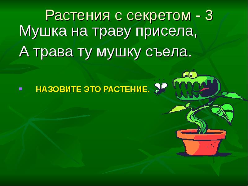 Тайны растений 1 класс презентация