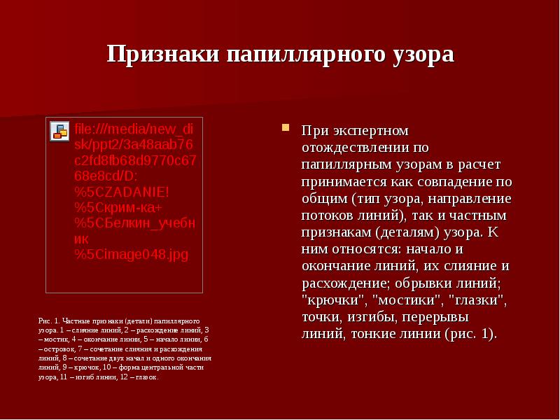 Дактилоскопическая экспертиза презентация