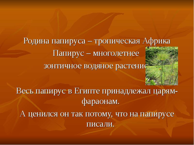 Папирус для письма в древности. Папирус лексическое значение в информатике. Папирус лексическое значение в информатике. Папирус значение. Папирус лексическое значение.