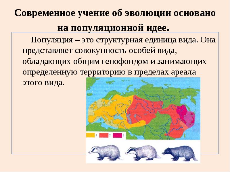 Популяция презентация 9 класс пономарева