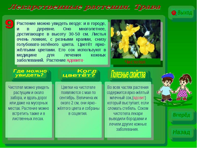 Выход цветов. Растения которые можно увидеть везде. Если разломить стебель этого растения. Цветы которые можно увидеть везде. Выход цветы.