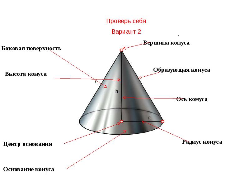 На рисунке изображен круговой конус сопоставьте элементы рисунка с их названиями