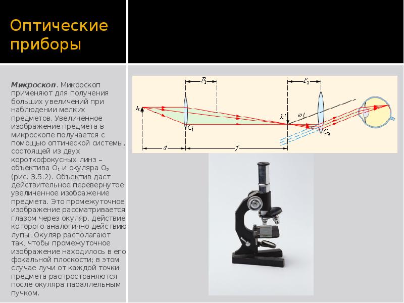 Какое изображение формирует объектив микроскопа