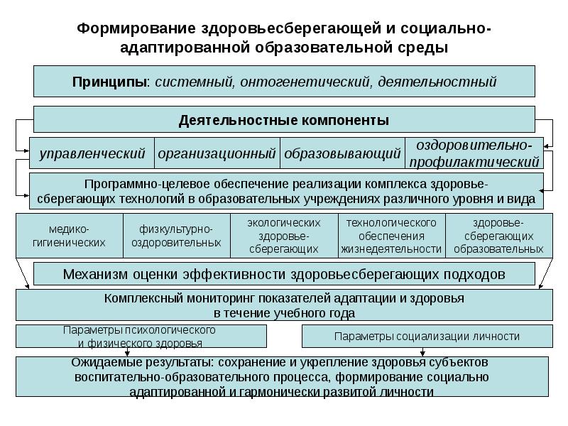 Схему задачи организации здоровьесберегающей деятельности в доу