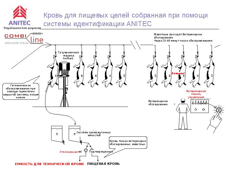 Схема переработки пищевой крови