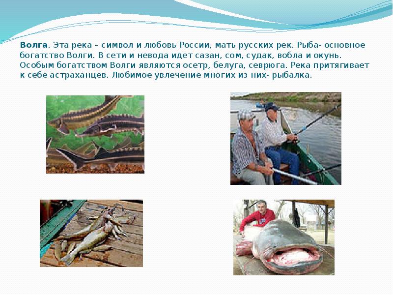 Волга. Эта река – символ и любовь России, мать русских рек. Волга. Эта река – символ и любовь России, мать русских рек.