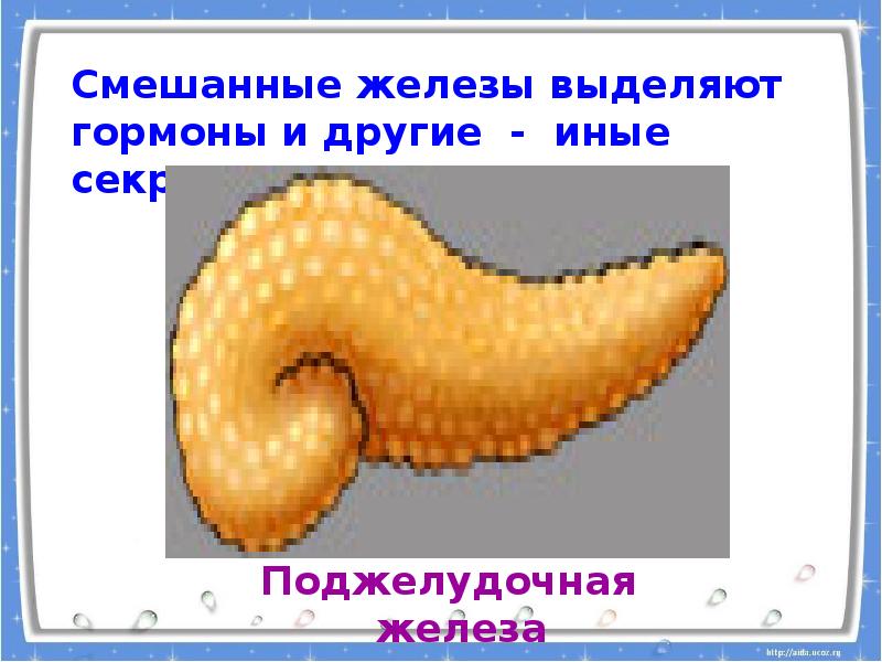 Железы внутренней секреции и их функции. Железы внутренней секреции и внешней секреции и смешанной секреции. Железы внутренней секреции и их гормоны действие гормонов. Железы внутренней секреции человека биология егэ. Гормоны желёз внутренней секреции.