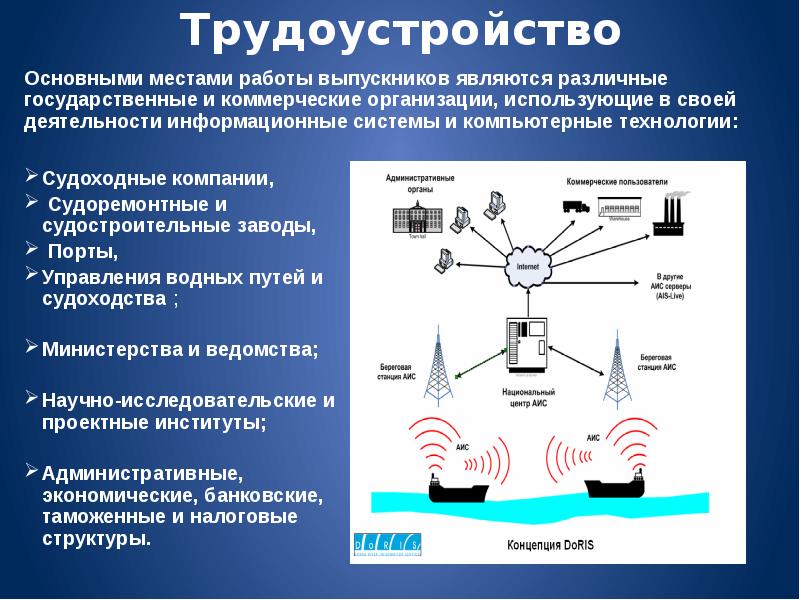 Организация применяющая