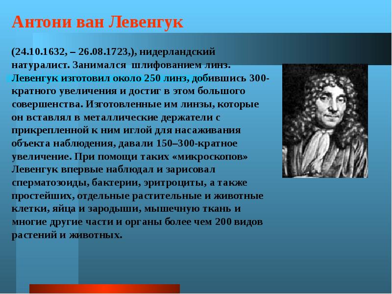 Нидерландский натуралист. Антони Ван Левенгук (1632-1723). Антони Ван Ле́венгук (1632—1723 ). Антони Ван Левенгук вклад. Антоний Ван Левенгук вклад в науку.