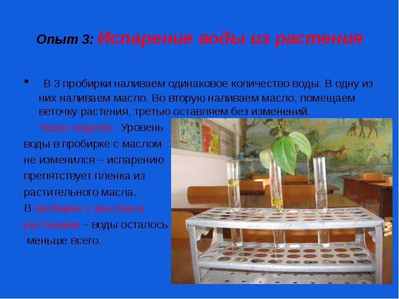 Следующий опыт. Опыт испарение воды. Испарение воды эксперимент. Парообразование опыт. Опыт по испарению воды.