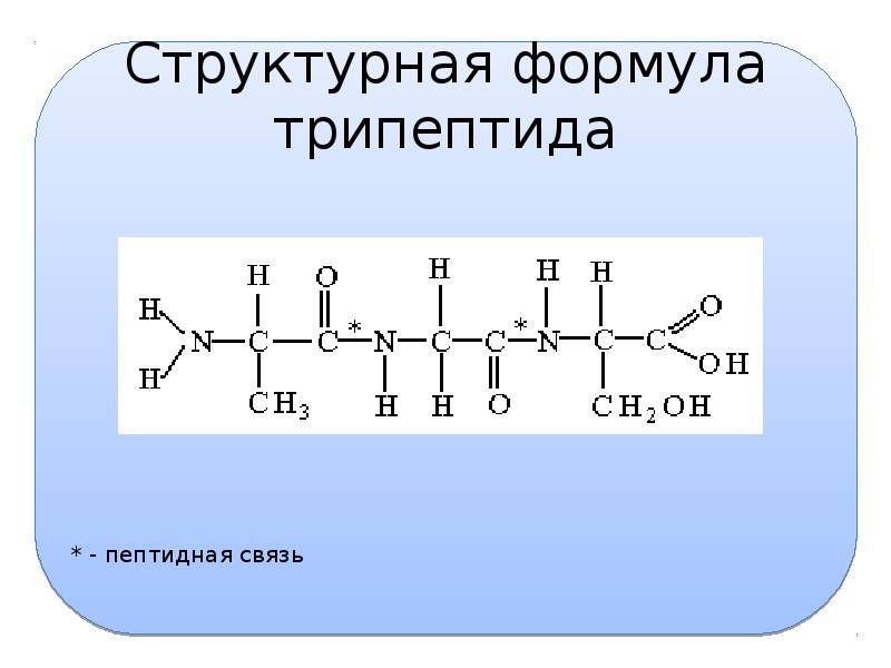 Схема гидролиза трипептида