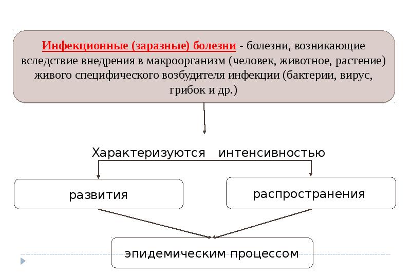 Возбудители инфекционных болезней растений