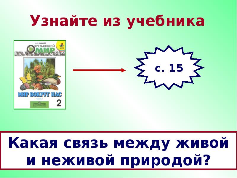 Какая связь между живой и неживой природой