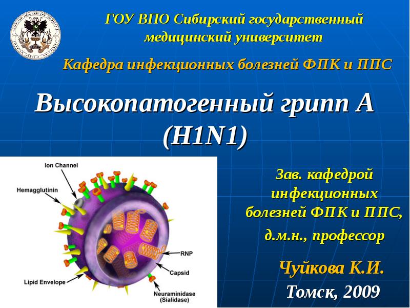 Вирус гриппа группа. Вирус гриппа а h1n1/09. Грипп h1n1. Вирус гриппа а (h1n1) симптомы. Грипп н1n1 название.