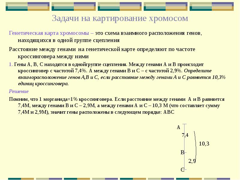 Гены расположенные в одной хромосоме