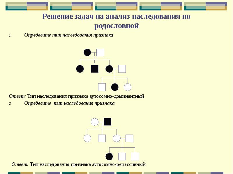 Решение задач по генетике с объяснением и ответами на все типы презентация