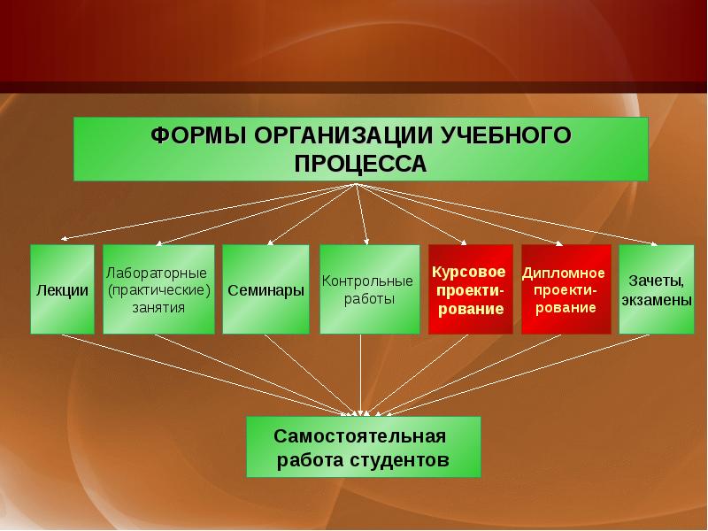 Презентация формы организации учебного процесса