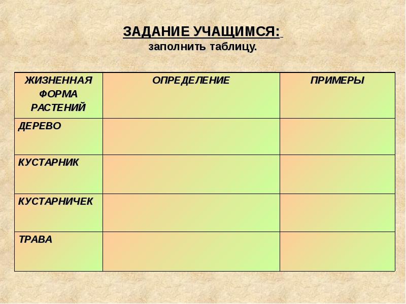 Доклад: Жизненные формы растений