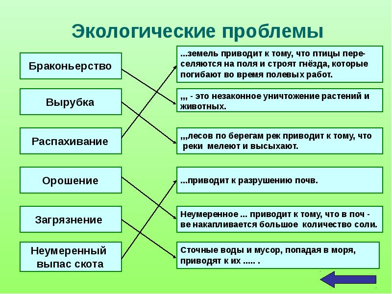 Проект по биологии 9 класс на тему экологические проблемы