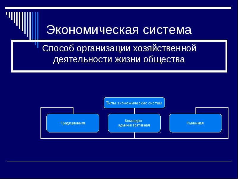 Основные способы организации жизни презентация