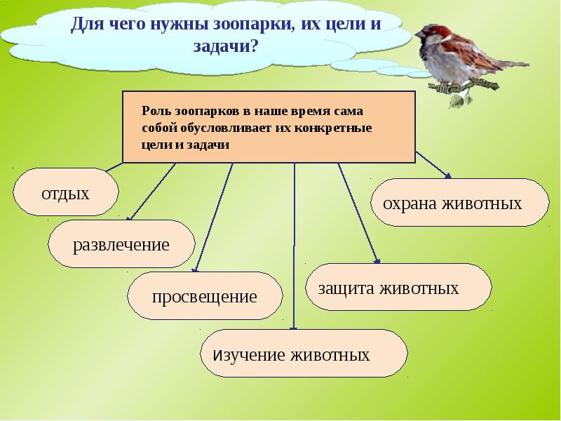 Зоопарк цель проекта