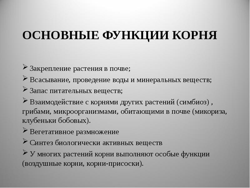 Функции корня закрепление растения в почве. Основные функции корня. основные функции корня растения. главные функции корня.