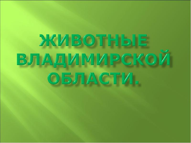 Животные владимирской области презентация