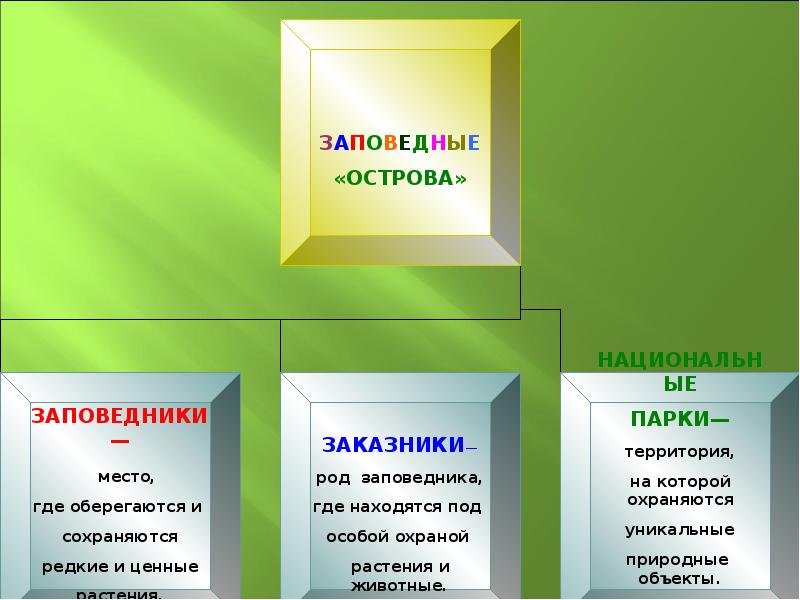 Животные владимирской области презентация