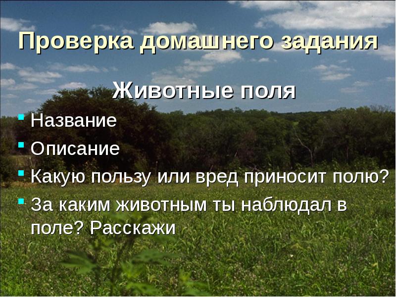 Проверим расскажи. Какую пользу для человека приносит поле. Какое нибудь название поля.