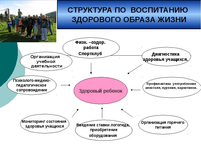 Структура воспитания. Структура ЗОЖ. Образ жизни структура образа жизни. Анализ работы спортивного клуба педагогика. Дистанционные сопровождение ЗОЖ.