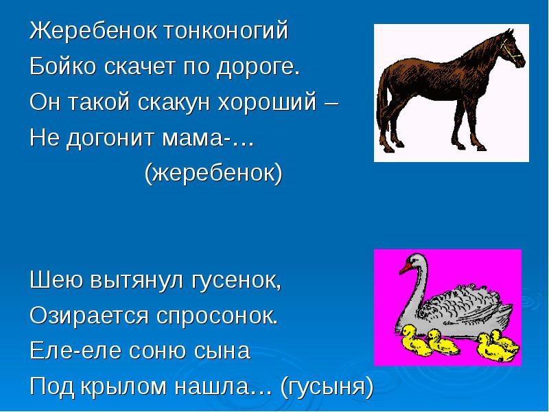 Анализ рассказа жеребенок. Жеребёнок синоним. Предложение со словом жеребенок. Жеребенка выбирают по матери значение. Жеребенок с каждым днем подрастал и стал закончить предложение.