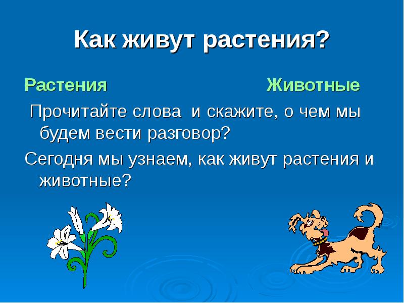 Как живут растения 1 класс презентация