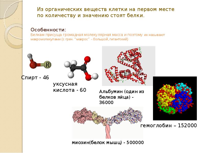 Органическая химия и жизнь презентация