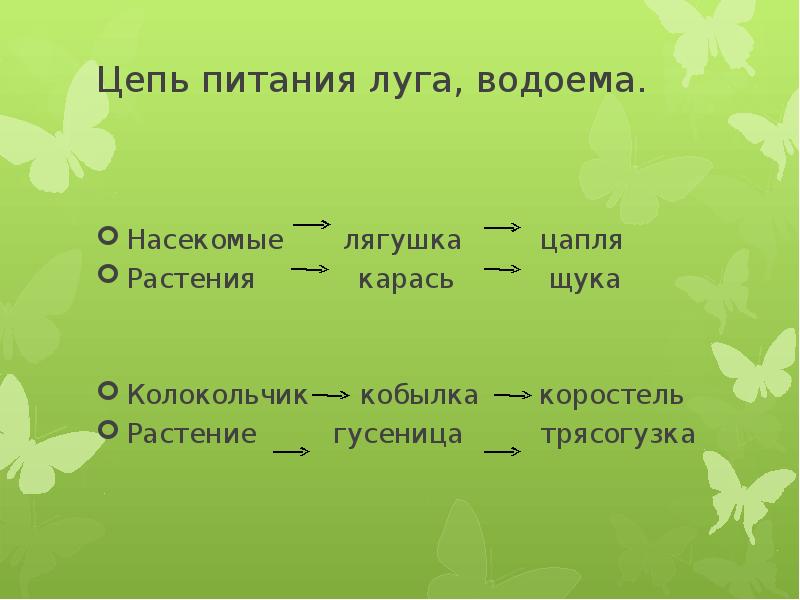 Цепи питания растения