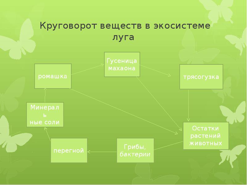 Экосистема краснодарского края презентация