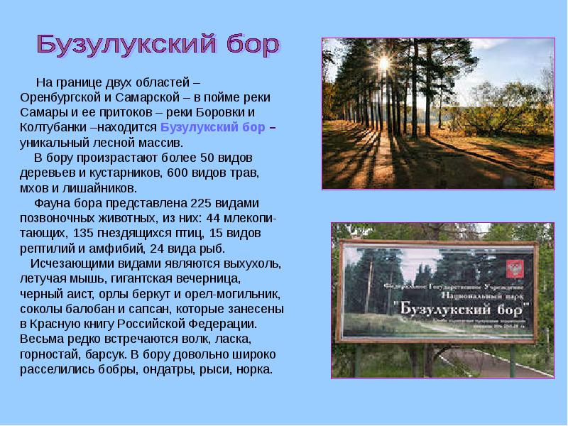 Разнообразие природы оренбургской области 3 класс окружающий мир проект